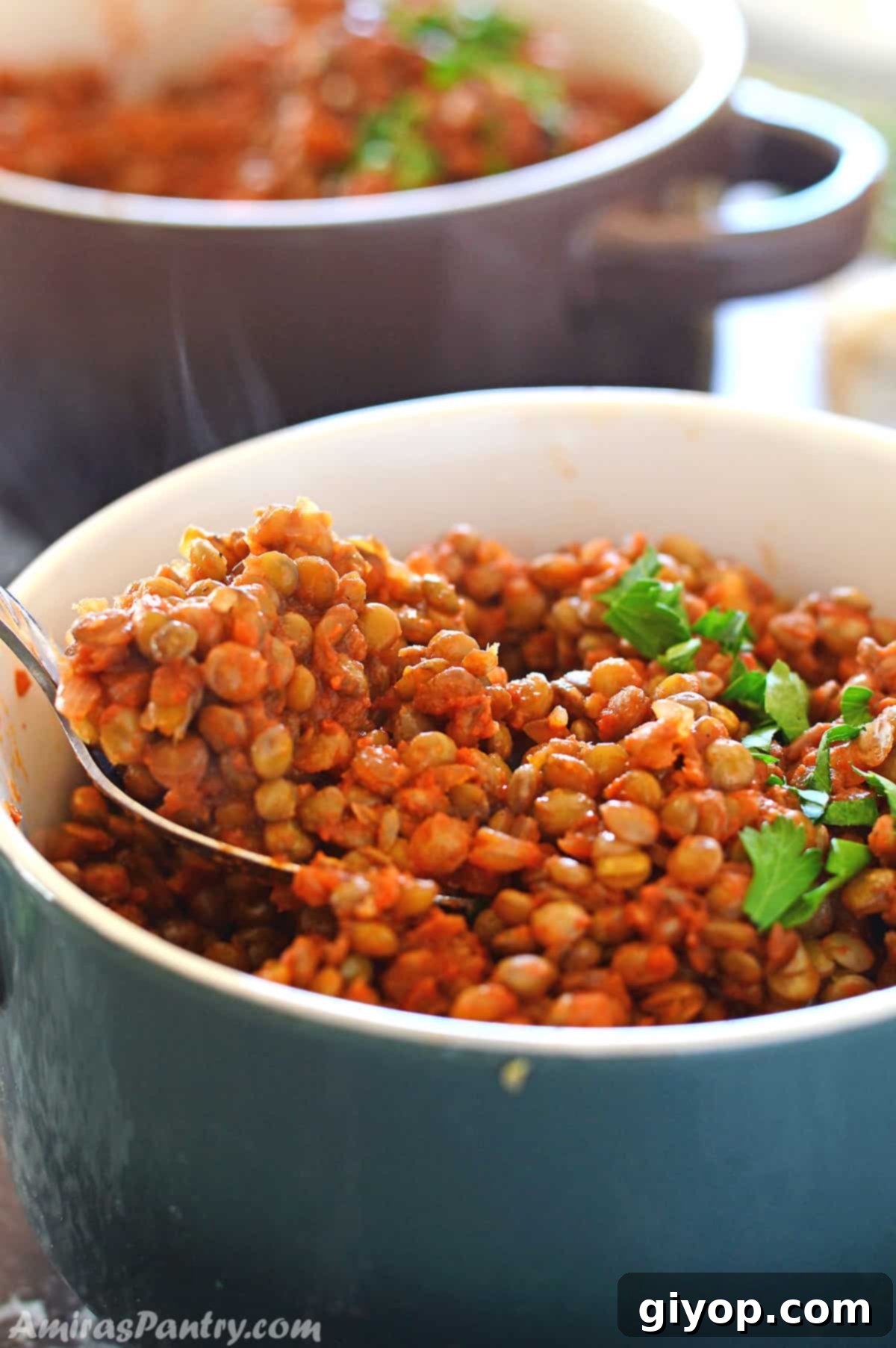 Nourishing Vegan Lentil Pot 1 featured 1533