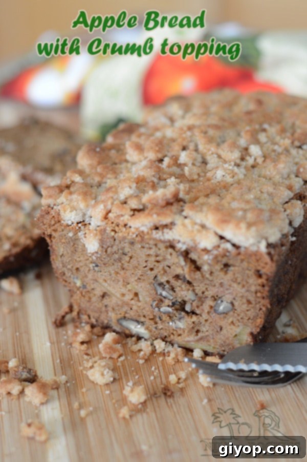 Cozy Apple Cinnamon Crumb Bread 1 featured 2895