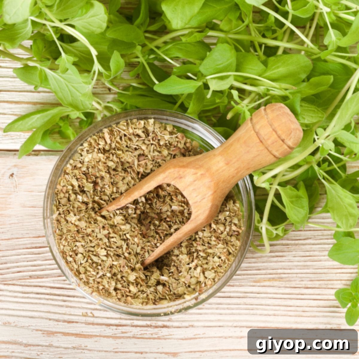 Beyond Oregano: Flavorful Substitutions 1 featured 34250