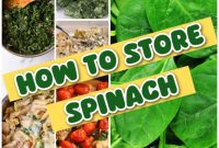 Keep Spinach Fresh Longer