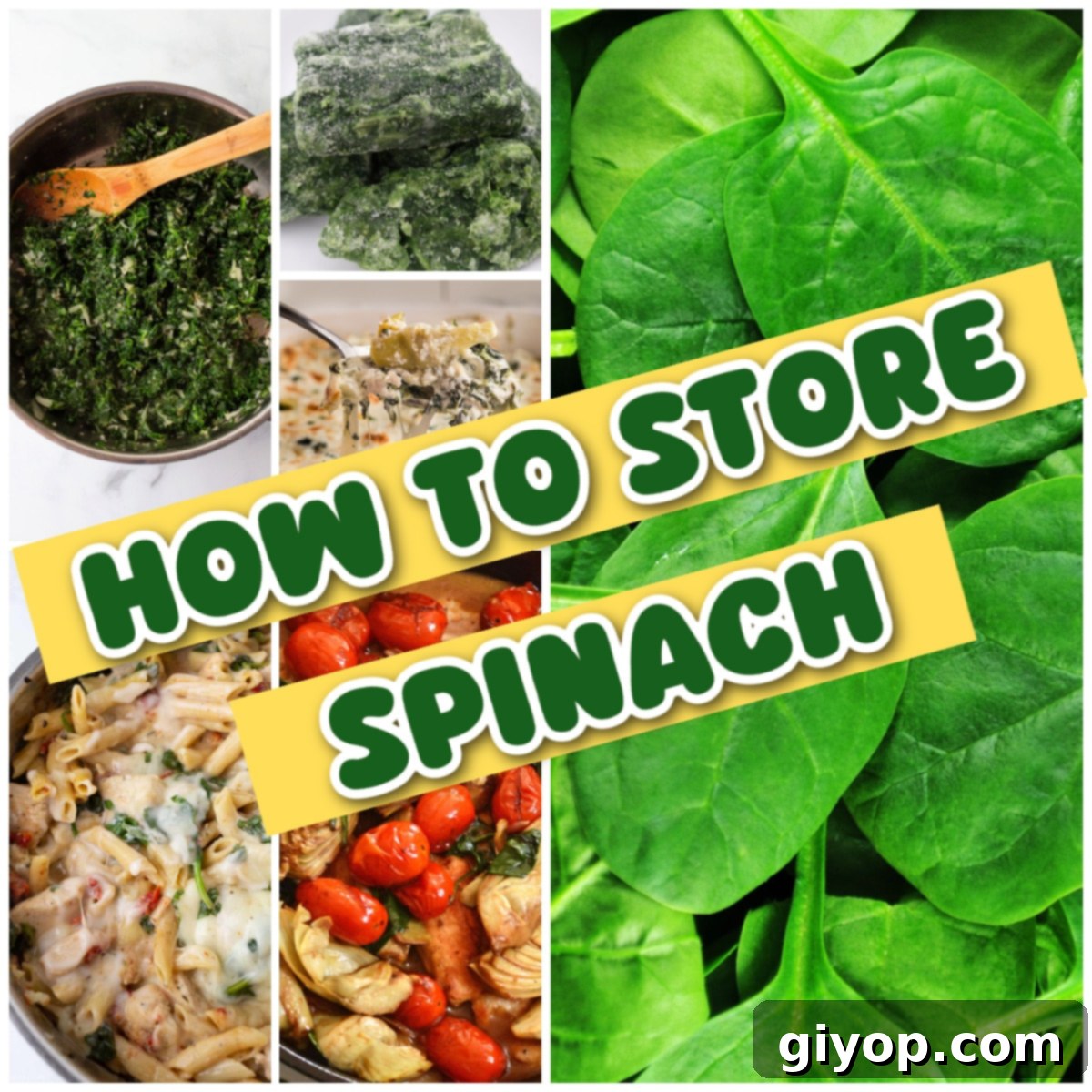 Keep Spinach Fresh Longer 1 featured 44979