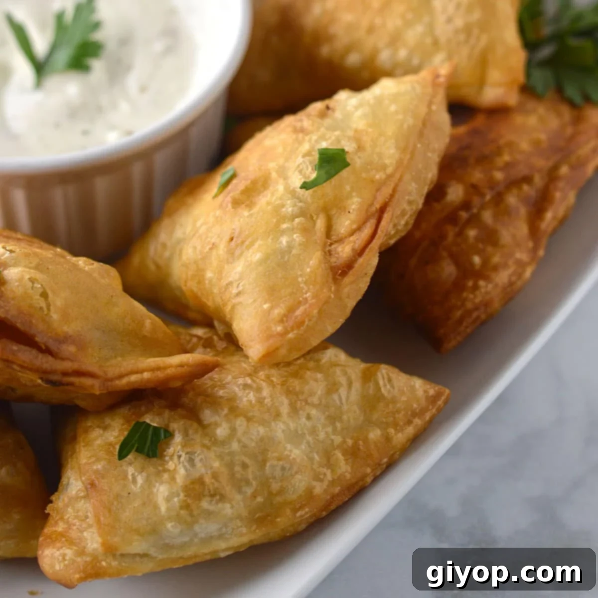 Easy Sambusa Recipe 1 featured 652