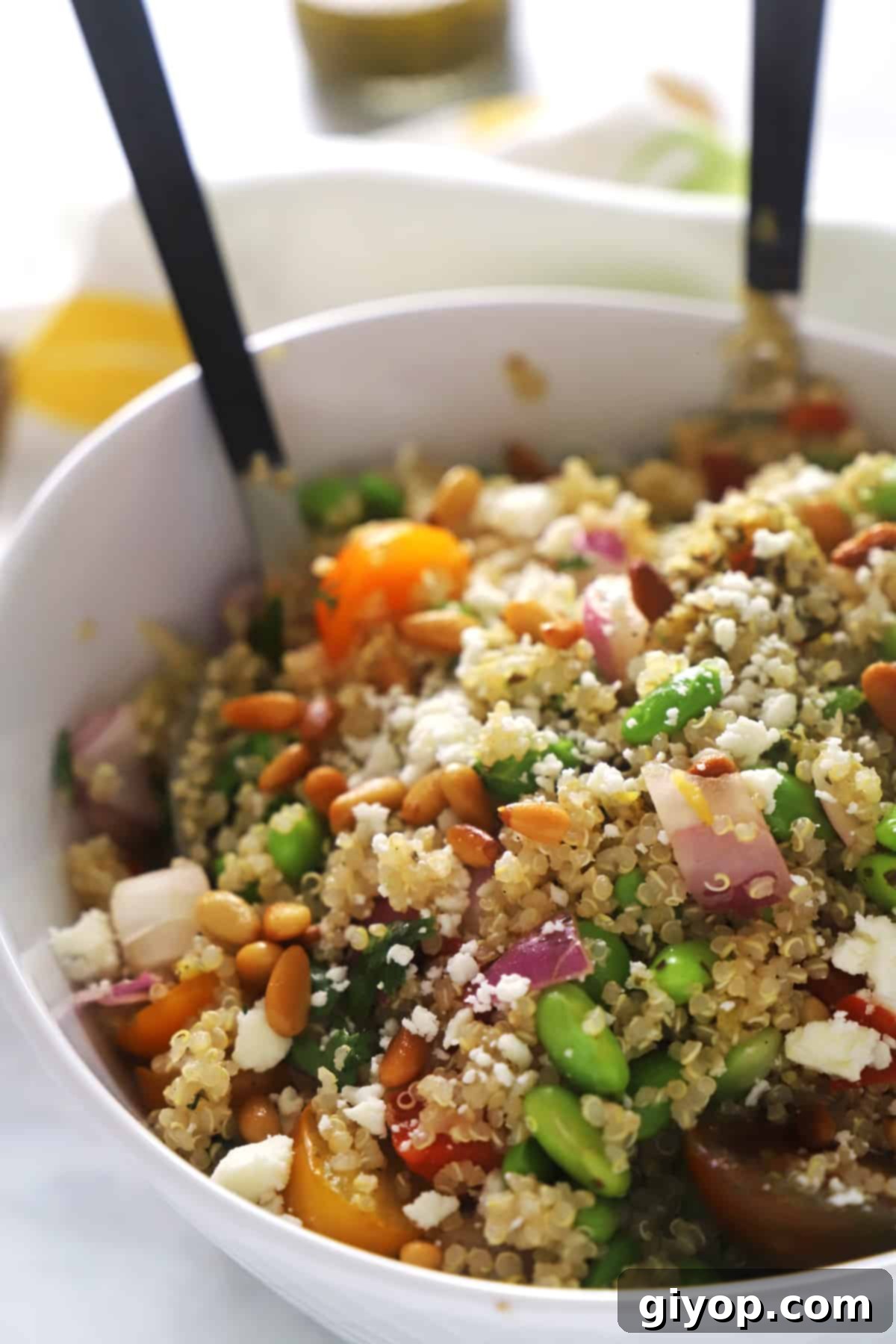 Vibrant Edamame Quinoa Medley 1 featured 745