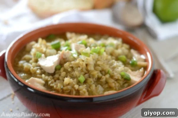 Freekeh soup in a bowl garnished with green onions.