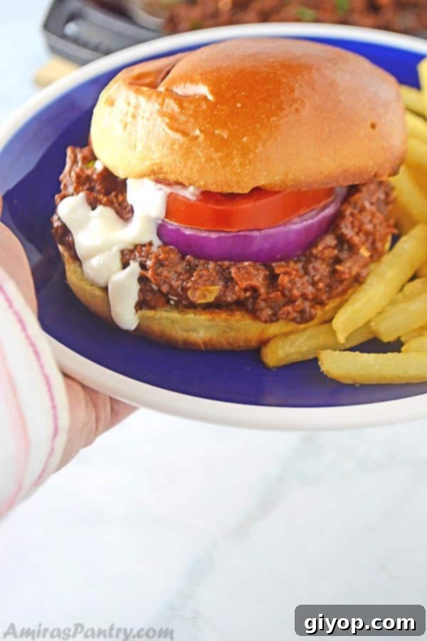 A hand holding a blue plate with a sloppy joes sandwich on it and some fries.