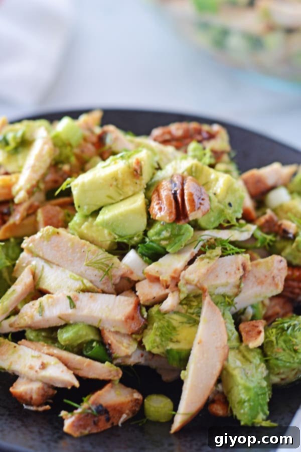 A pristine black plate featuring a perfect portion of avocado chicken salad, showcasing its creamy texture and fresh ingredients, ready to be enjoyed.