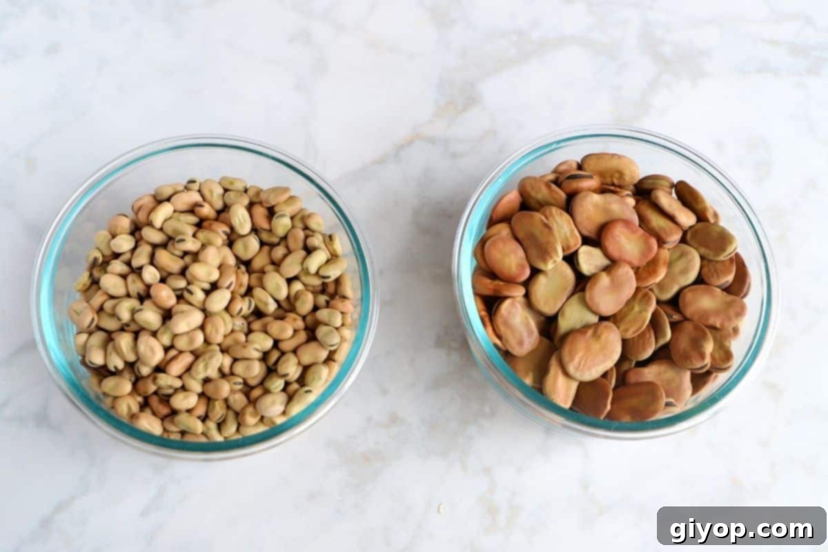 Two bowls of fava beans, one with small beans and one with large beans, displayed on a marble table.