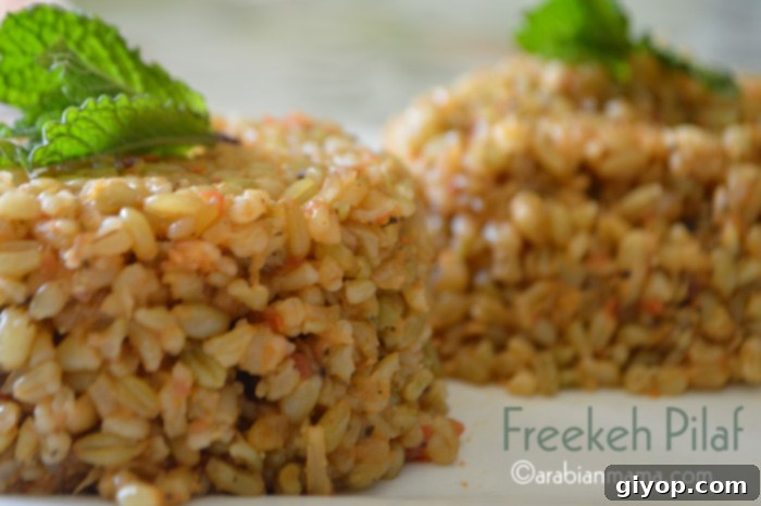 A close up of a plate of Freekeh Pilaf, garnished with fresh herbs.
