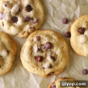 A close up of Cookie made with Tahini and chocolate chips