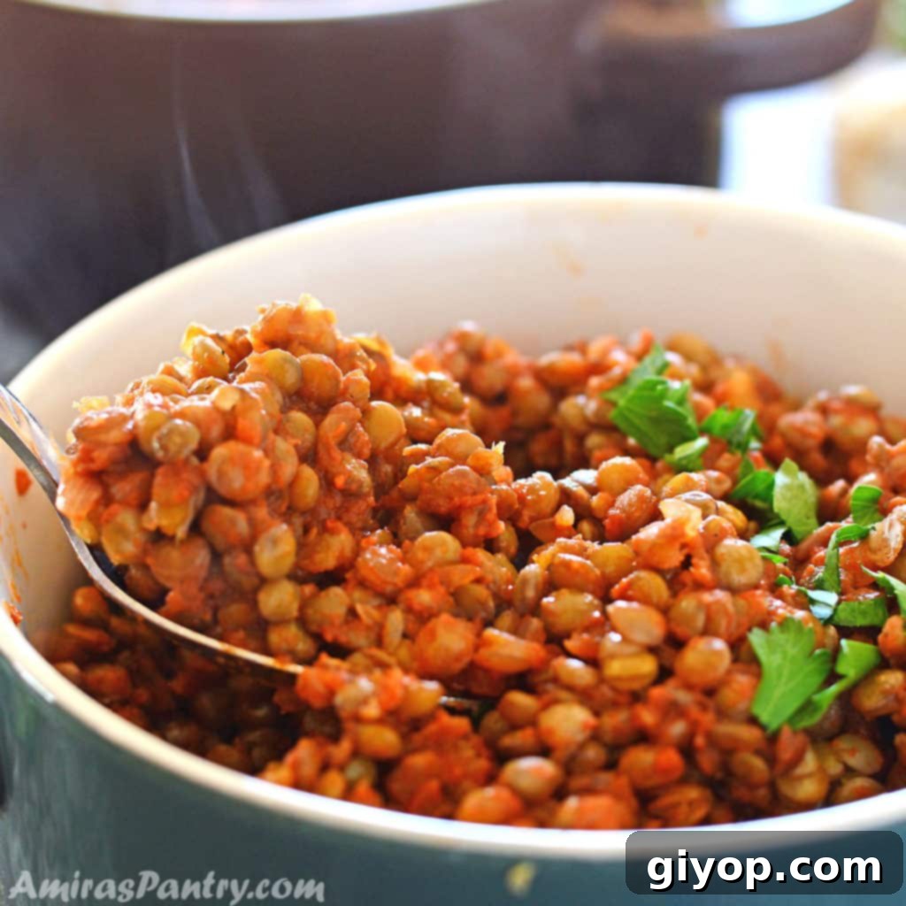 Nourishing Vegan Lentil Pot 2 Lentil stew in a vibrant green bowl, with a spoon perfectly poised to scoop up a delicious portion.