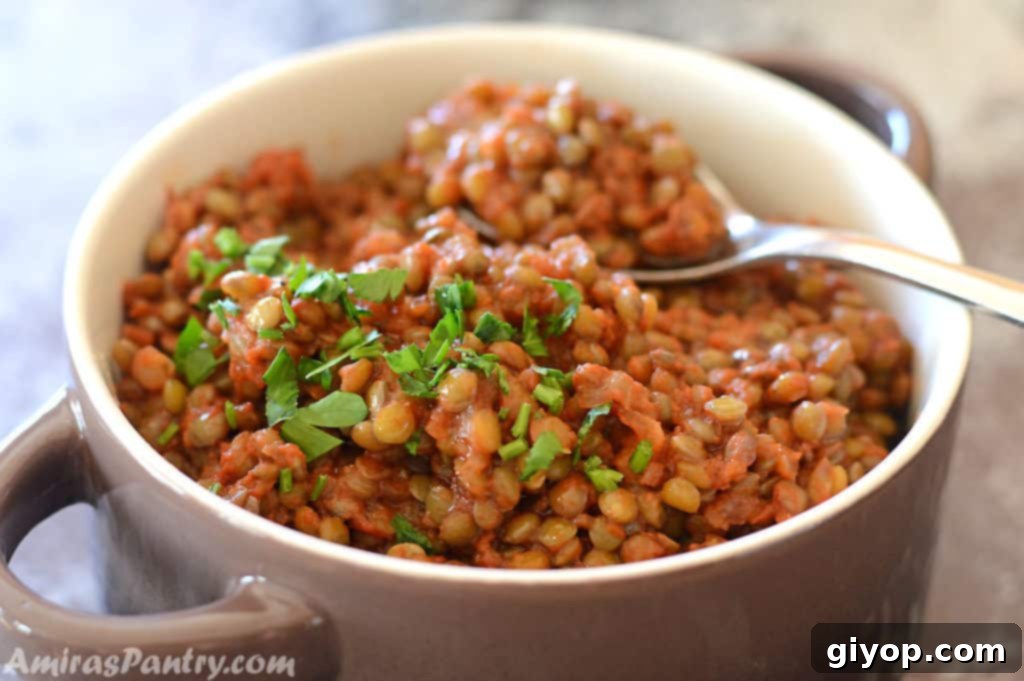 Nourishing Vegan Lentil Pot 3 A bowl of rich brown lentil stew, beautifully garnished with fresh green parsley, highlighting its earthy and wholesome appeal.