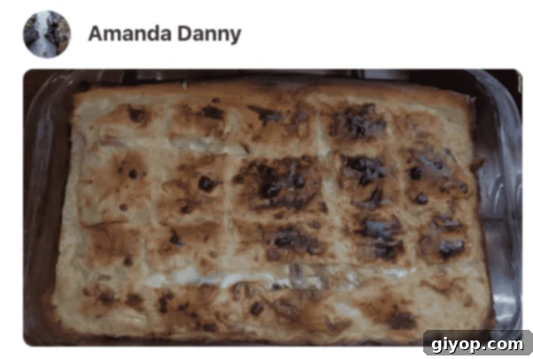 A phyllo pie in a pan, photo by a fan