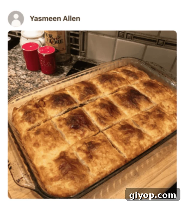 A phyllo pie in a pan, photo by a fan