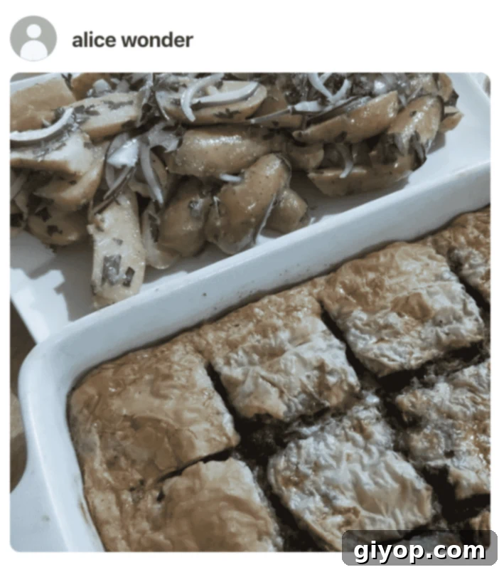 A phyllo pie in a pan, photo by a fan