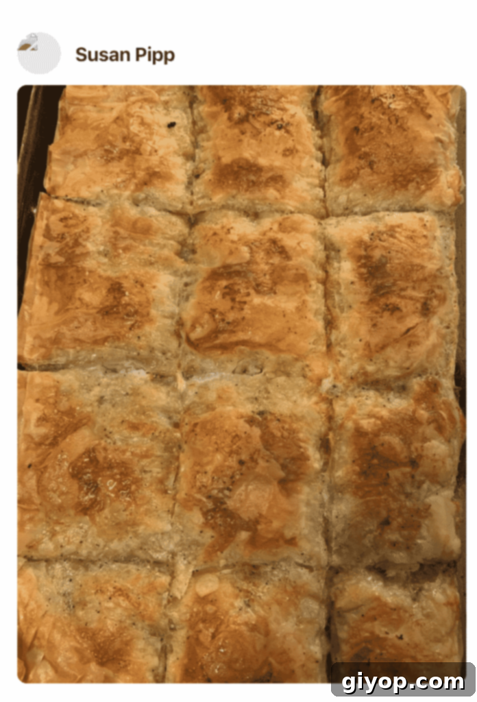 A phyllo pie in a pan, photo by a fan