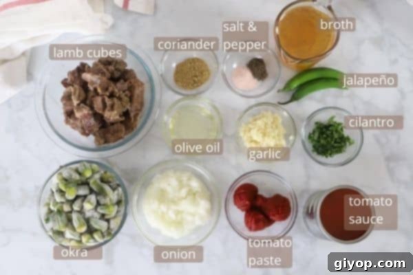 bamya ingredients on a white marble table