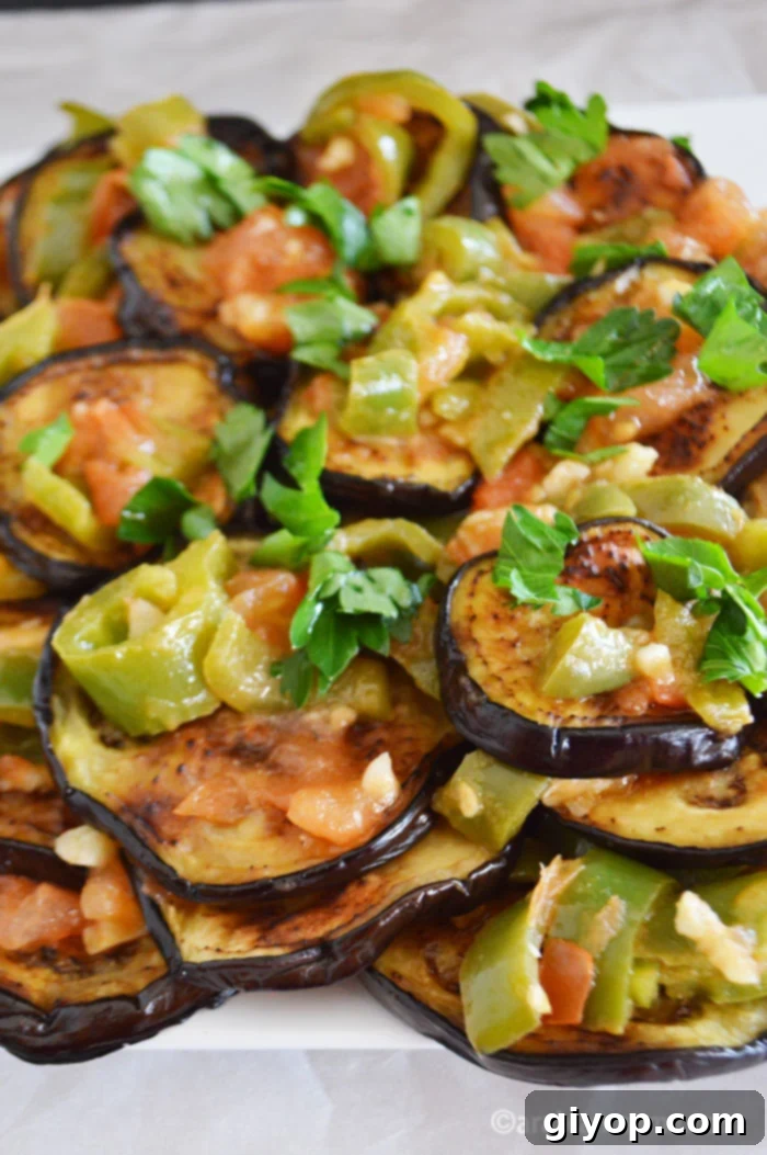 Tangy Garlic Eggplant 5 Eggplant garlic recipe, close-up of healthy version