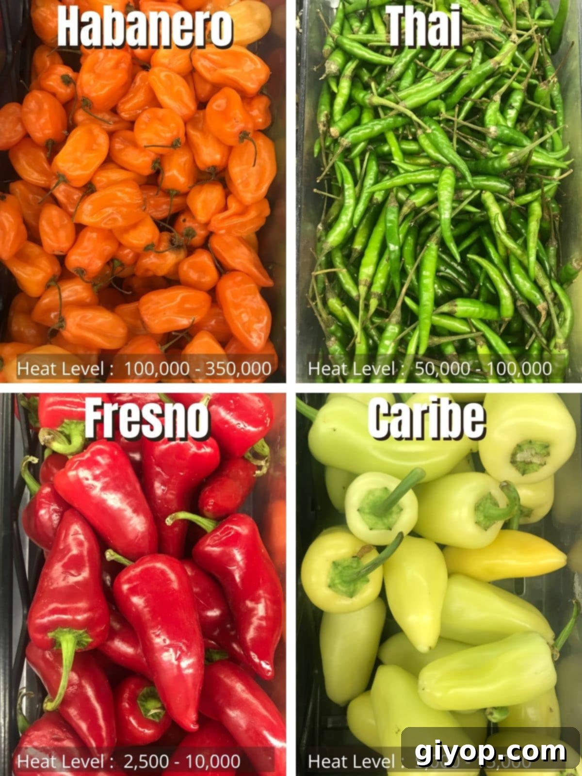 Crafting Authentic Harissa at Home 6 chili peppers guide with their heat level