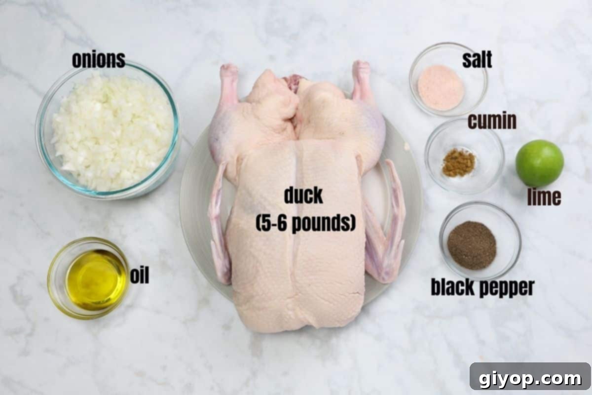 Fresh ingredients for a Middle Eastern stuffed roast duck laid out on a marble countertop, including whole onions, fresh limes, and a bottle of olive oil, all ready for preparation.