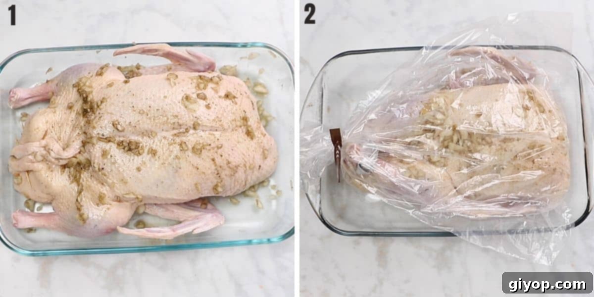 A collage of two photos showing a whole duck prepared in an oven bag ready for roasting in a pan, followed by the golden-brown roasted duck being carefully removed from the oven.