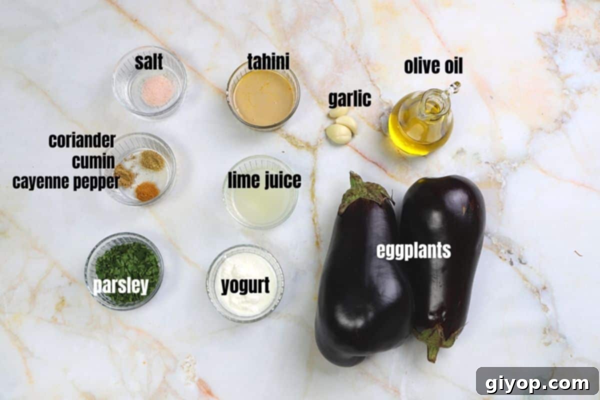 Mutabal ingredients place on a white marble surface.