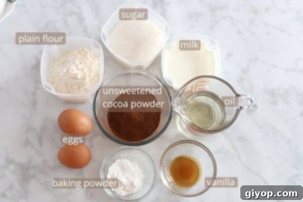 Impossible Chocolate Flan 4 Chocolate cake ingredients placed on a white marble table