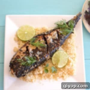 Mackerel fish on a bed of couscous.