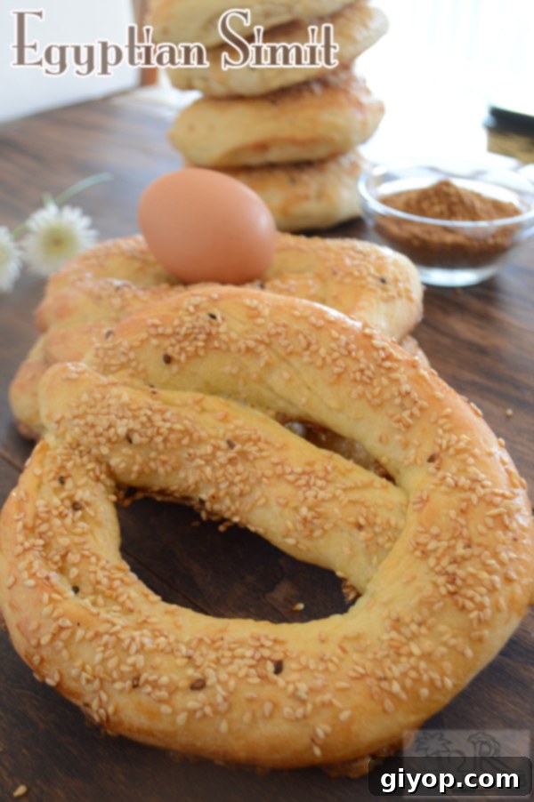 Egypt's Iconic Sesame Rings 2 Freshly baked Egyptian Simit with sesame seeds, a perfect breakfast bread.