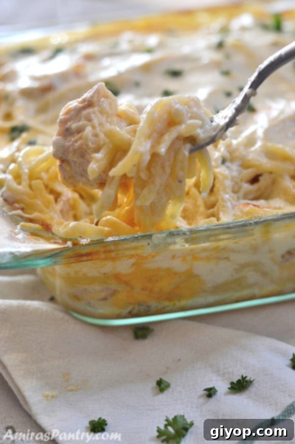 A close-up view of a pan filled with creamy, cheesy chicken tetrazzini, baked to golden perfection.