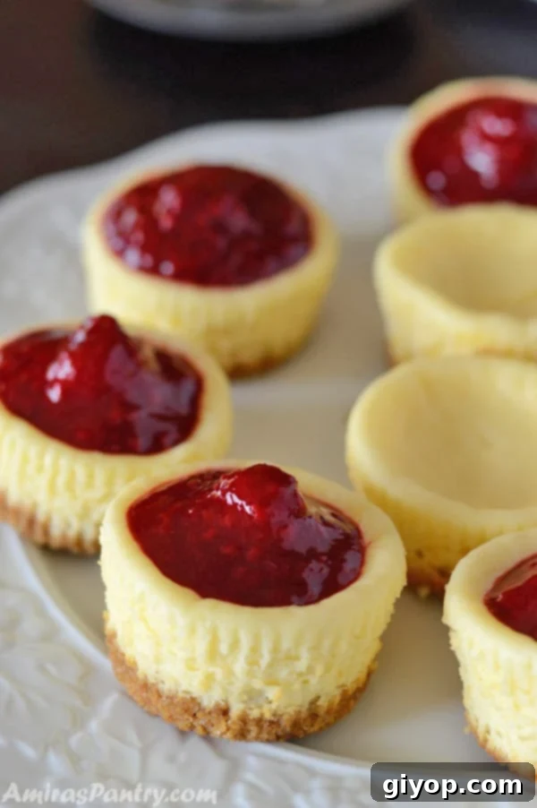 Adorable mini raspberry cheesecakes, perfectly portioned and garnished with fresh raspberries.