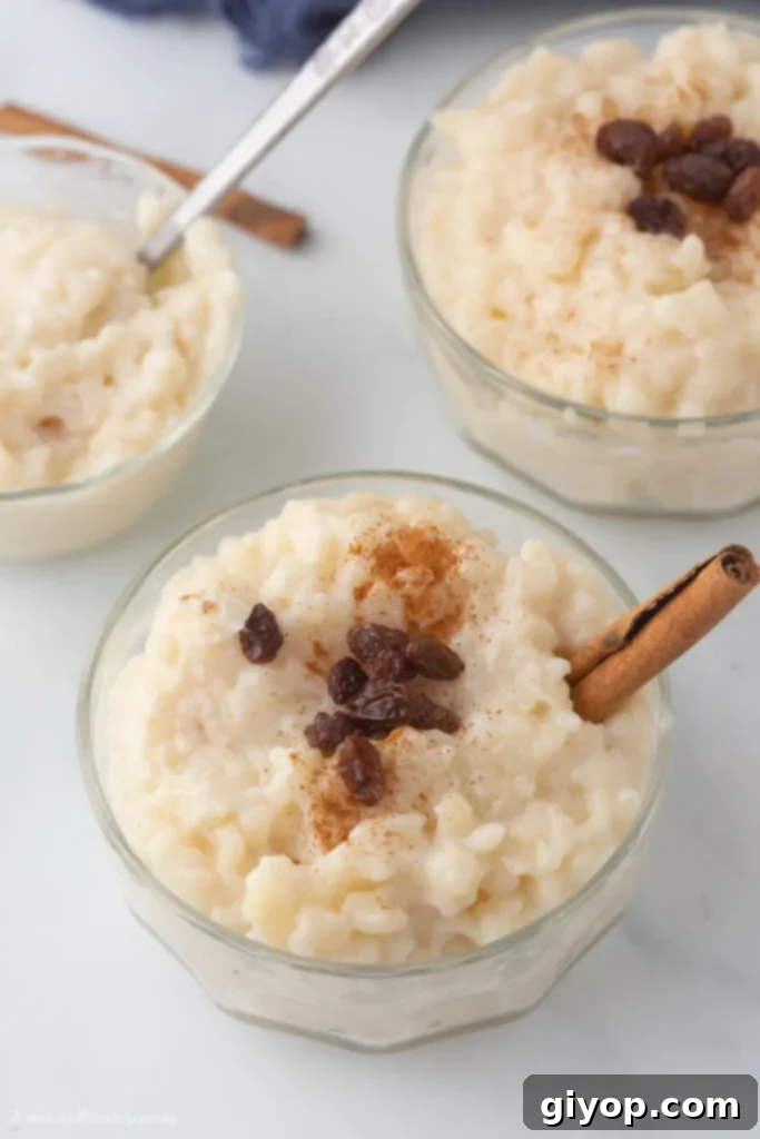 An overhead view of some bowl with rice pudding garnished with cinnamon and raisins.