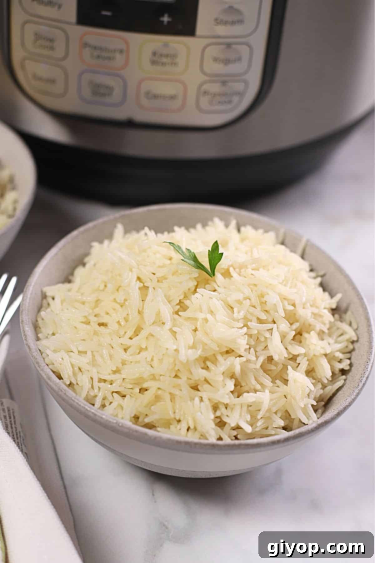 Fluffy basmati rice on a bowl with the instant pot in the background. Each grain is perfectly separated and aromatic, ready to be served.