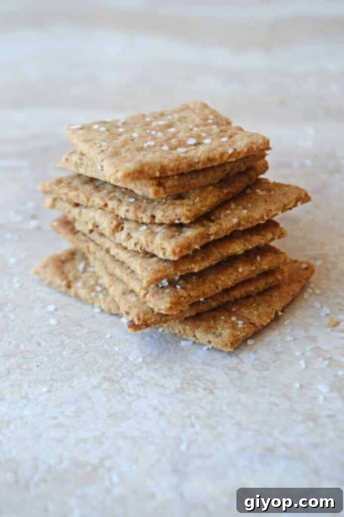 Custom Meal Plans 3 A stack of golden brown flatbread crackers, lightly sprinkled with sea salt and herbs, inviting to be paired with a fresh salad.