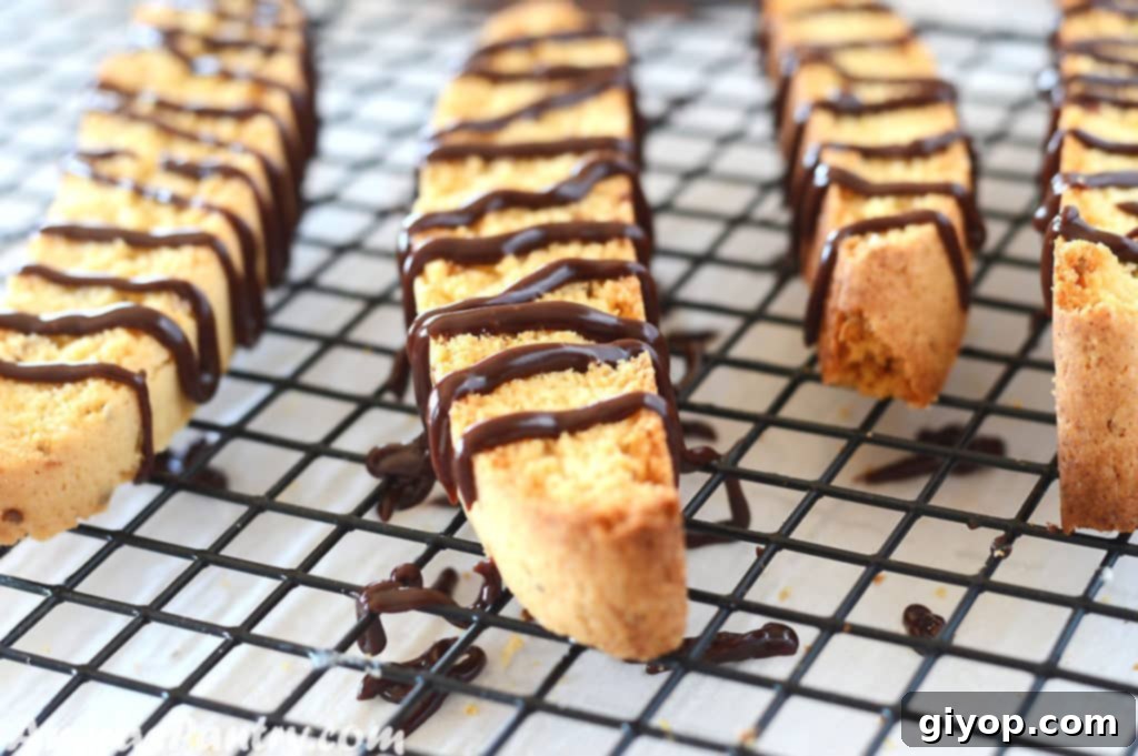 Crisp anise biscotti cookies arranged elegantly on a cooling rack, drizzled with delicate chocolate ribbons.
