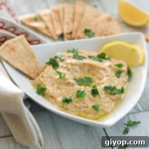 A white serving plate with baba ganough dip, elegantly garnished with olive oil and fresh parsley.
