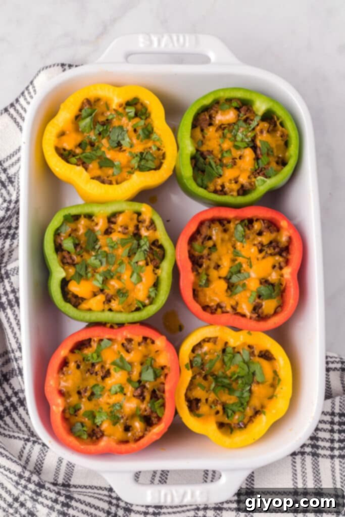 34 Diverse Meal Plans 5 An appetizing bird's eye view of a white oven dish filled with beautifully stuffed bell peppers, elegantly garnished with fresh parsley.