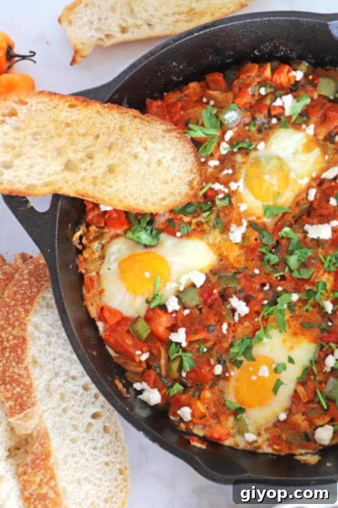 A close up of a part of Shakshouka in a Pan, showing vibrant tomatoes and perfectly cooked eggs.