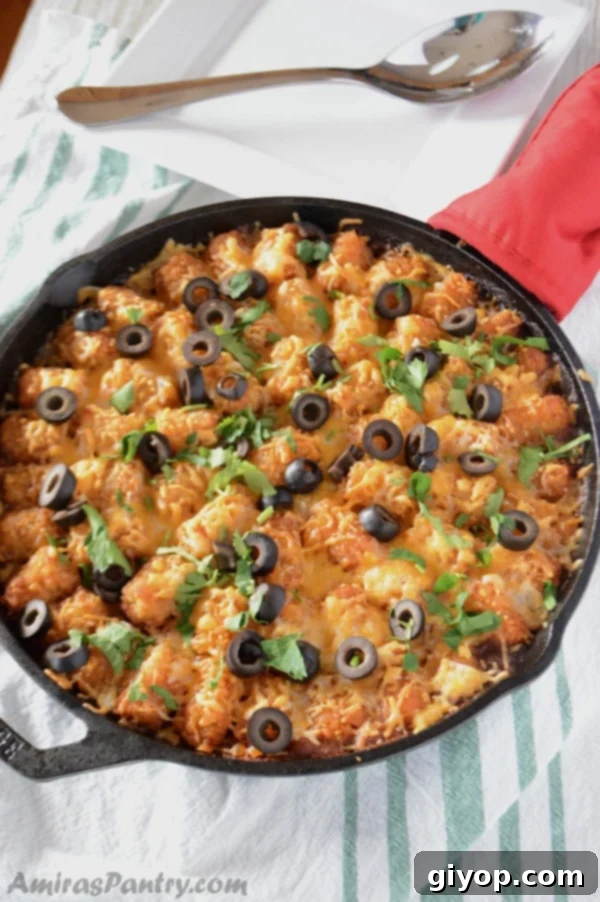 A baking pan filled with golden-brown tater tots, melted cheese, and sliced olives, creating a vibrant taco tater tot casserole.