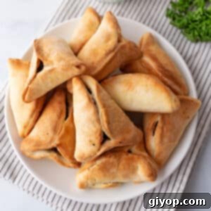 A plate with spinach fatayer.