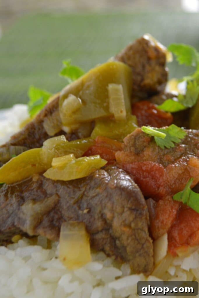 Tender beef cubes mixed with colorful bell peppers and onions, served over a bed of fluffy white rice.