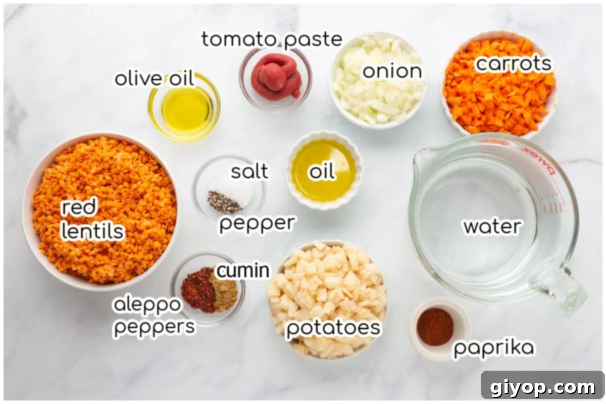 Soup ingredients on a marble surface.