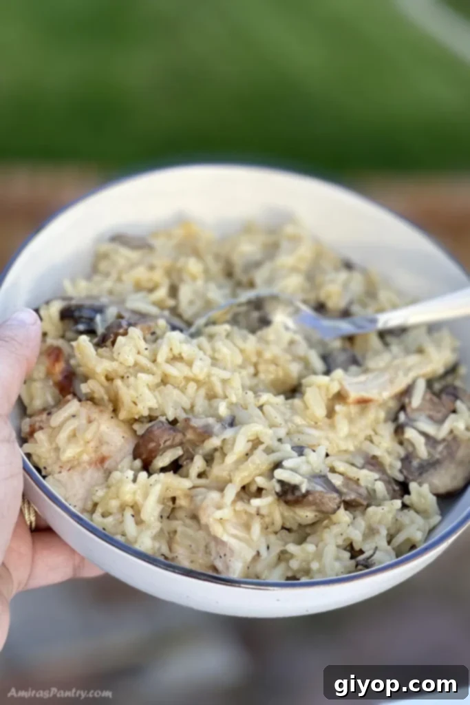 A hand holding a bowl of creamy Cracker Barrel chicken and rice, set against a blurred garden backdrop.