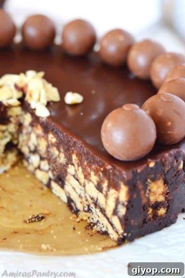 A close-up shot revealing the inviting internal texture of a slice of Chocolate Biscuit Cake, showcasing layers of biscuit and chocolate.