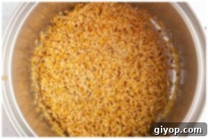 Toasted orzo pasta in a pot, achieving a light golden brown color, indicating a nutty flavor development.