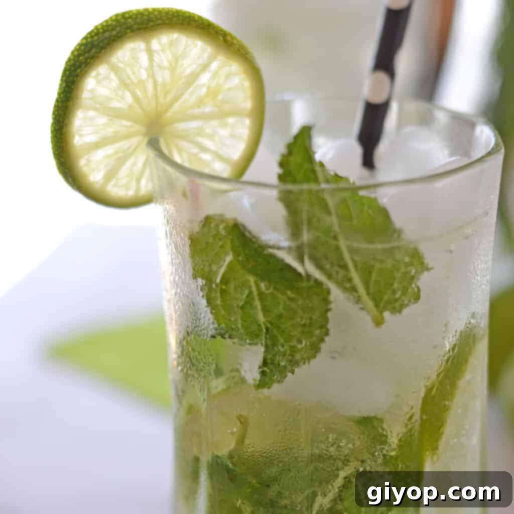 A close up photo of a freshly made Mojito mocktail glass garnished with lime slice and fresh mint leaves, promising refreshing sips.