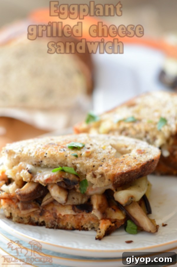 Close-up of a delicious, melty eggplant and roasted mushroom grilled cheese sandwich on a plate.