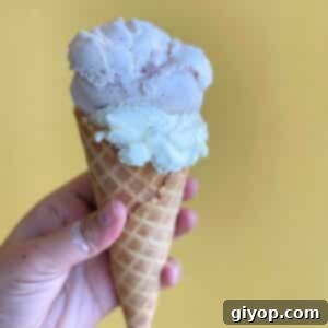 Ice cream cone with two balls of homemade condensed milk ice cream. Two scoops of vanilla ice cream in a cone.