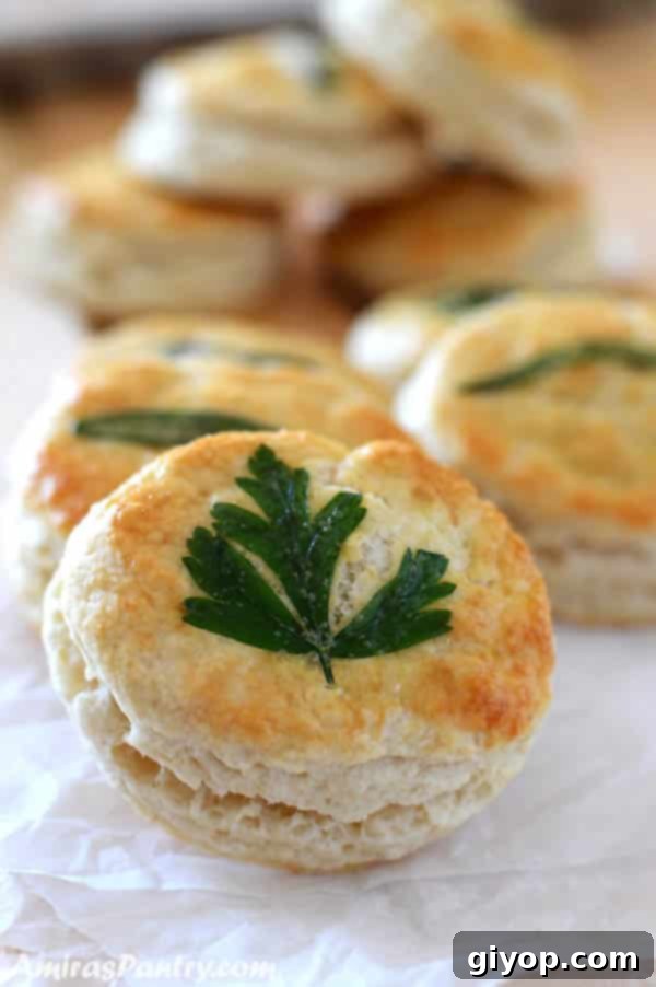 Golden-brown buttermilk biscuits on crumpled parchment paper, garnished with fresh parsley leaves.