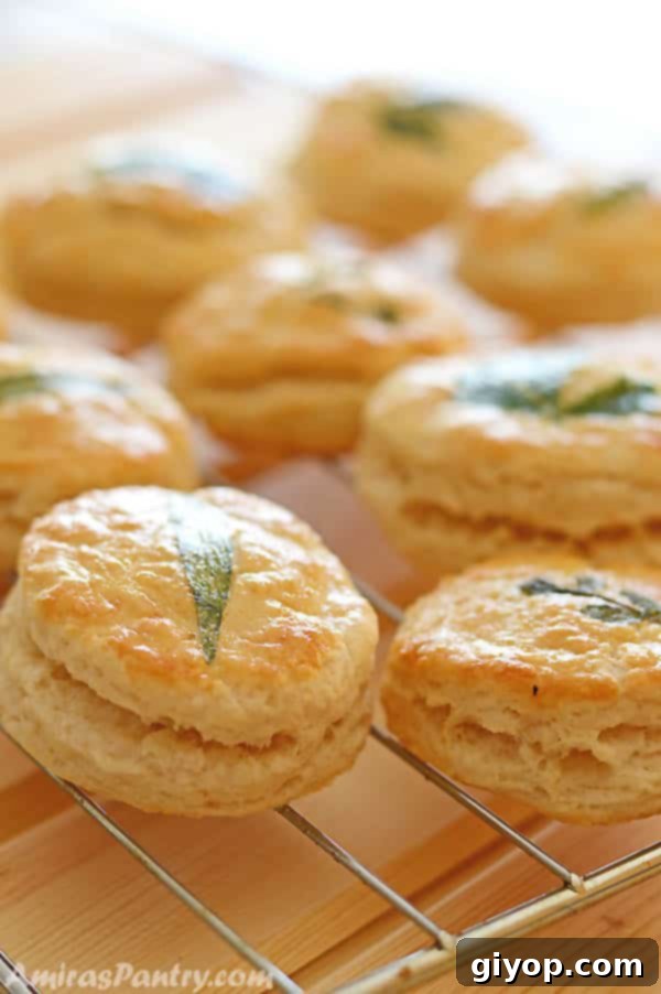 A stack of golden buttermilk biscuits cooling on a wire rack.