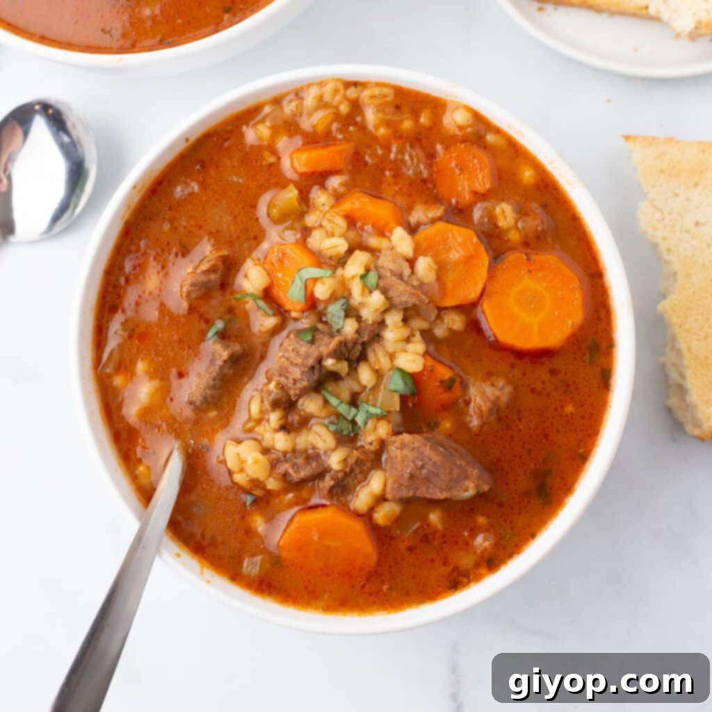 A bird's eye view of a comforting bowl of hearty barley soup, garnished with fresh herbs.